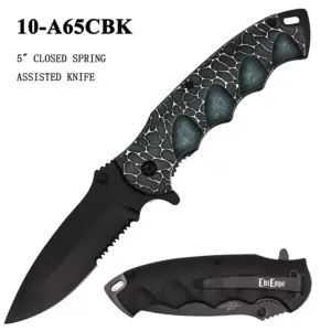 10-A65CBK - Spring Assisted Knife