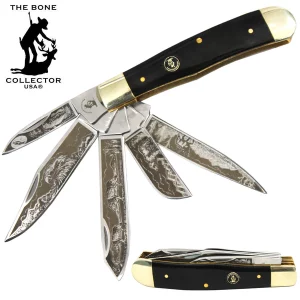 BC 5249-BH - 4" 5 Blade Etched Buffalo Horn Bone Collector Pocket Knife