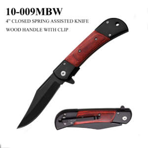 SPRING ASSISTED KNIFE