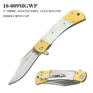 SPRING ASSISTED KNIFE