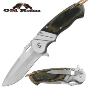 Spring Assisted Knife